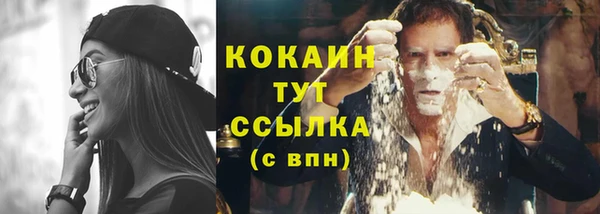 мдпв Осинники