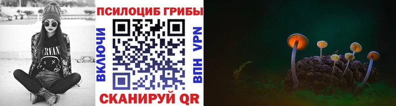 Псилоцибиновые грибы мухоморы Тайга
