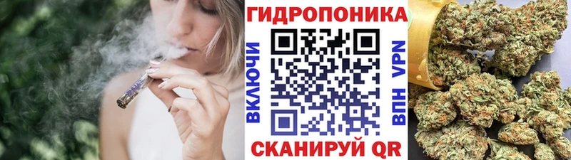 kraken ССЫЛКА Тайга Бошки Шишки Amnesia наркота